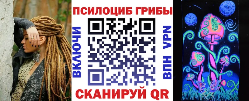Псилоцибиновые грибы мицелий  где можно купить   Стародуб 